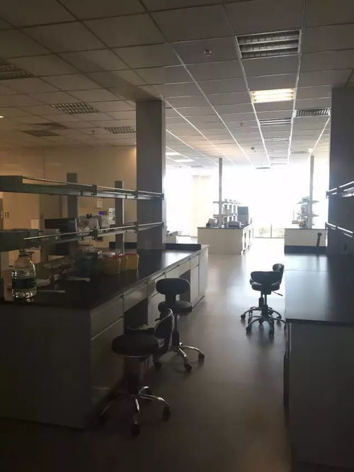 從戀愛到二胎都能測，消費級基因檢測靠譜嗎？