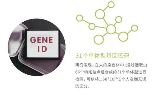 華大基因安馨可基因檢測系列產品全新上市，開啟精準健康管理新時代