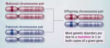 美國頂尖兒科醫生建議 兒童基因檢測的適用情況與考量