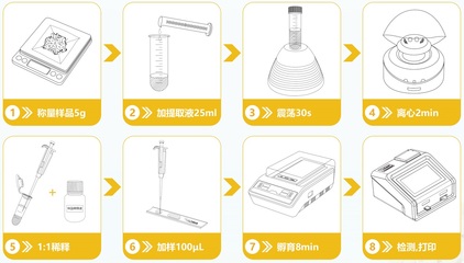 轉(zhuǎn)基因快速檢測(cè) 守護(hù)糧食安全的新興科技